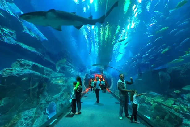 Dubai Aquarium and Underwater Zoo