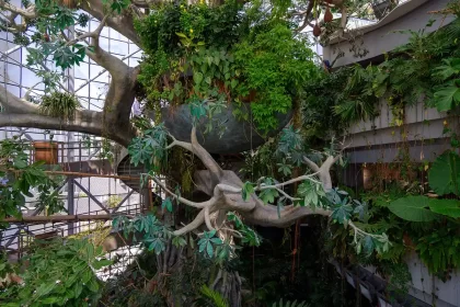 Inside The Green Planet Dubai