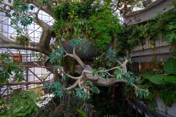 Inside The Green Planet Dubai