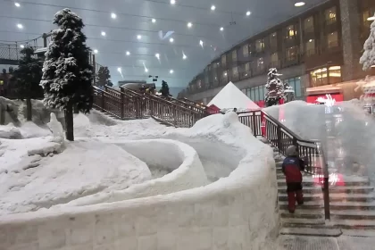 Ski Dubai