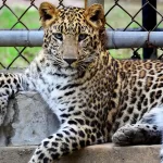 Emirates Park Zoo Abu Dhabi