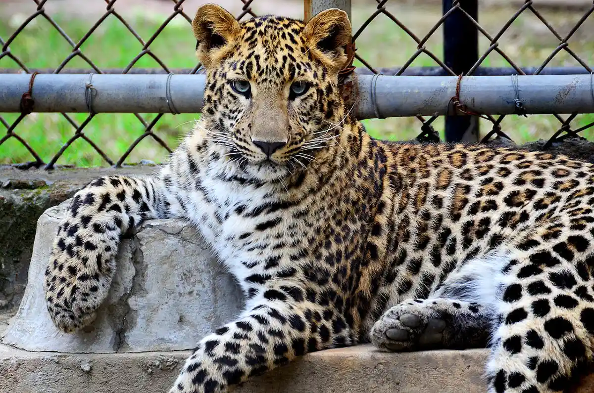 Emirates Park Zoo Abu Dhabi