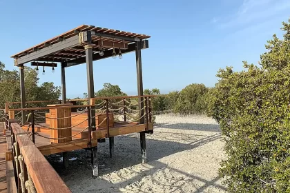 Mangrove National park jubail