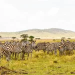 Serengeti National Park