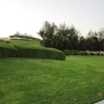 Umm Al Emarat Park