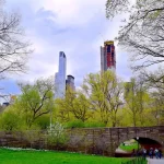 Central Park in New York City