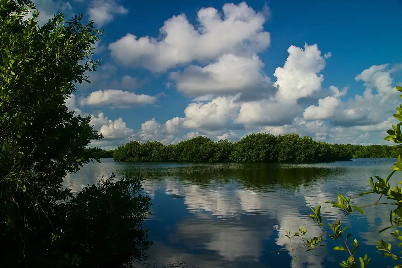 Everglades National Park