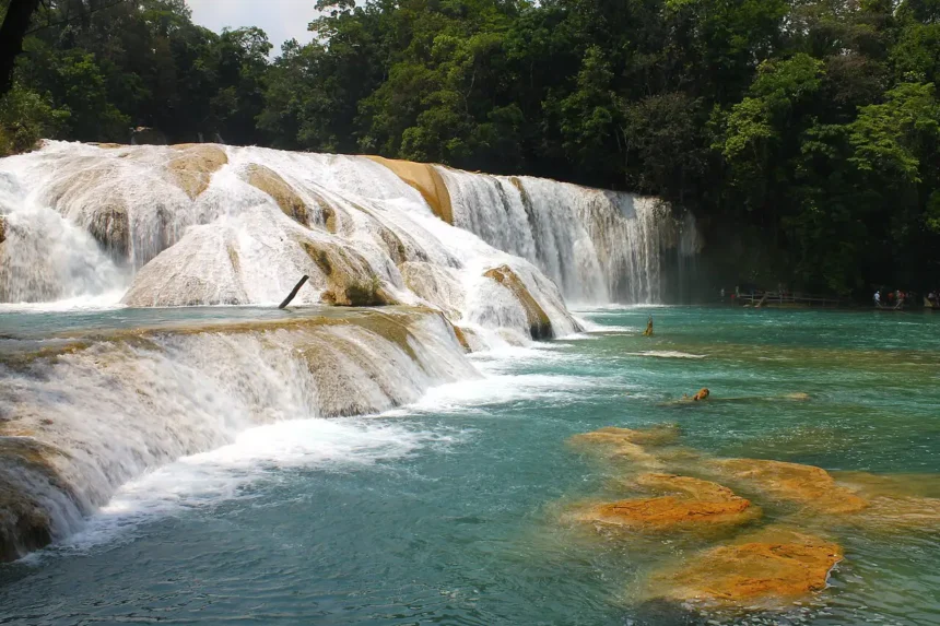 Cascadas de Agua Azul