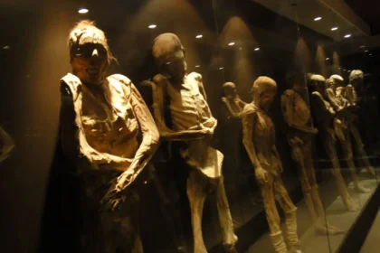 Guanajuato Museum of Mummies