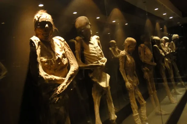 Guanajuato Museum of Mummies