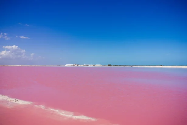 Las Coloradas