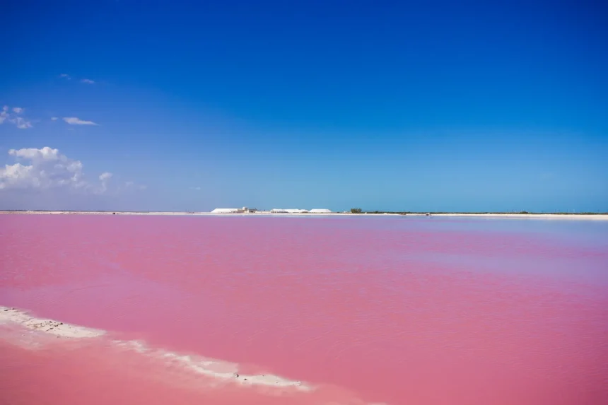 Las Coloradas