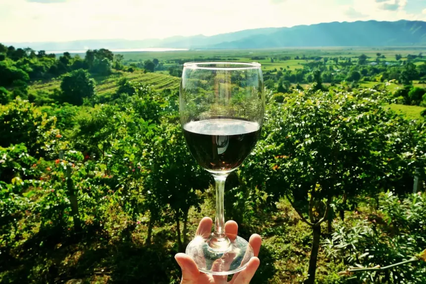 Bali wine tasting