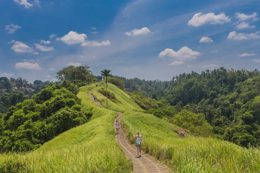 Campuhan Ridge Walk