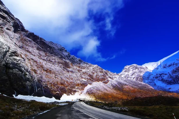 Places to see in Homer